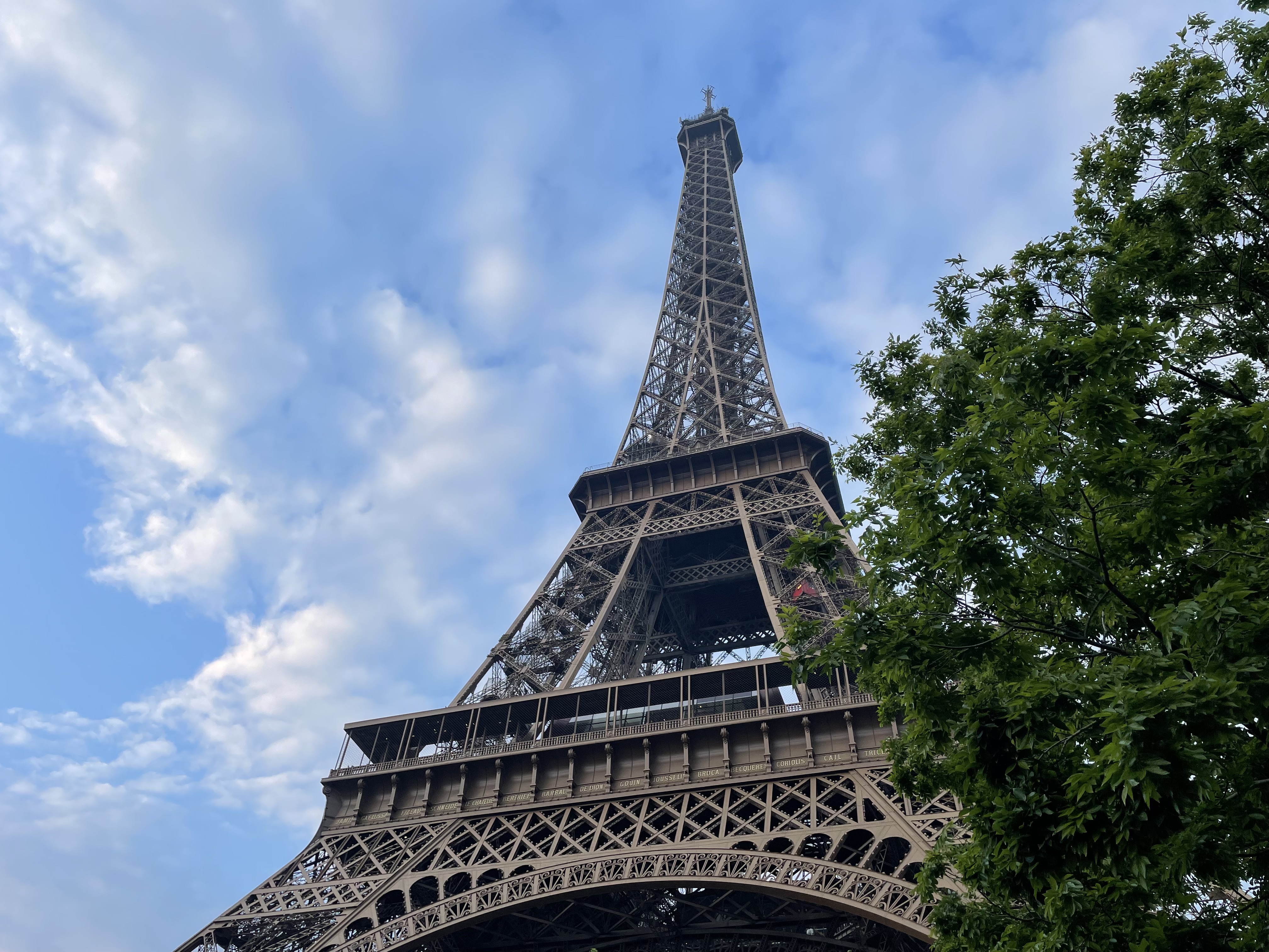 International business law (IMT-BS 2024-09)